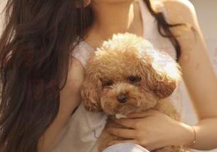 “免费”草莓季节，51吃瓜网今天又让人肆虐！