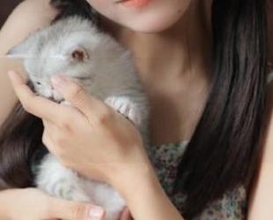 51每日吃瓜app：今天我想啃瓜，结果却被八卦种子塞满了脑袋！