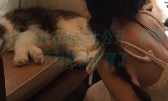 91icg地址大公开，再也不怕找不到吃瓜小窝了