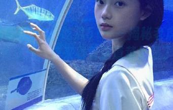 今日吃瓜51——揭秘老虎菜的神秘传送门，快来看看这道菜里藏了啥猛料！