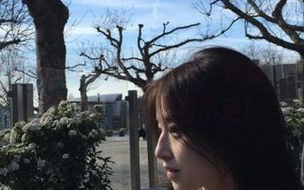 吃瓜福利导航：快点，别掉队了，瓜在这愣着不走！