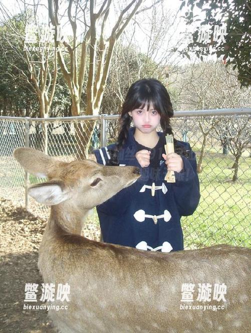 黑料正能量 捡瓜抽丝,91黑料正能量苹果版新版上线,趣味无限!